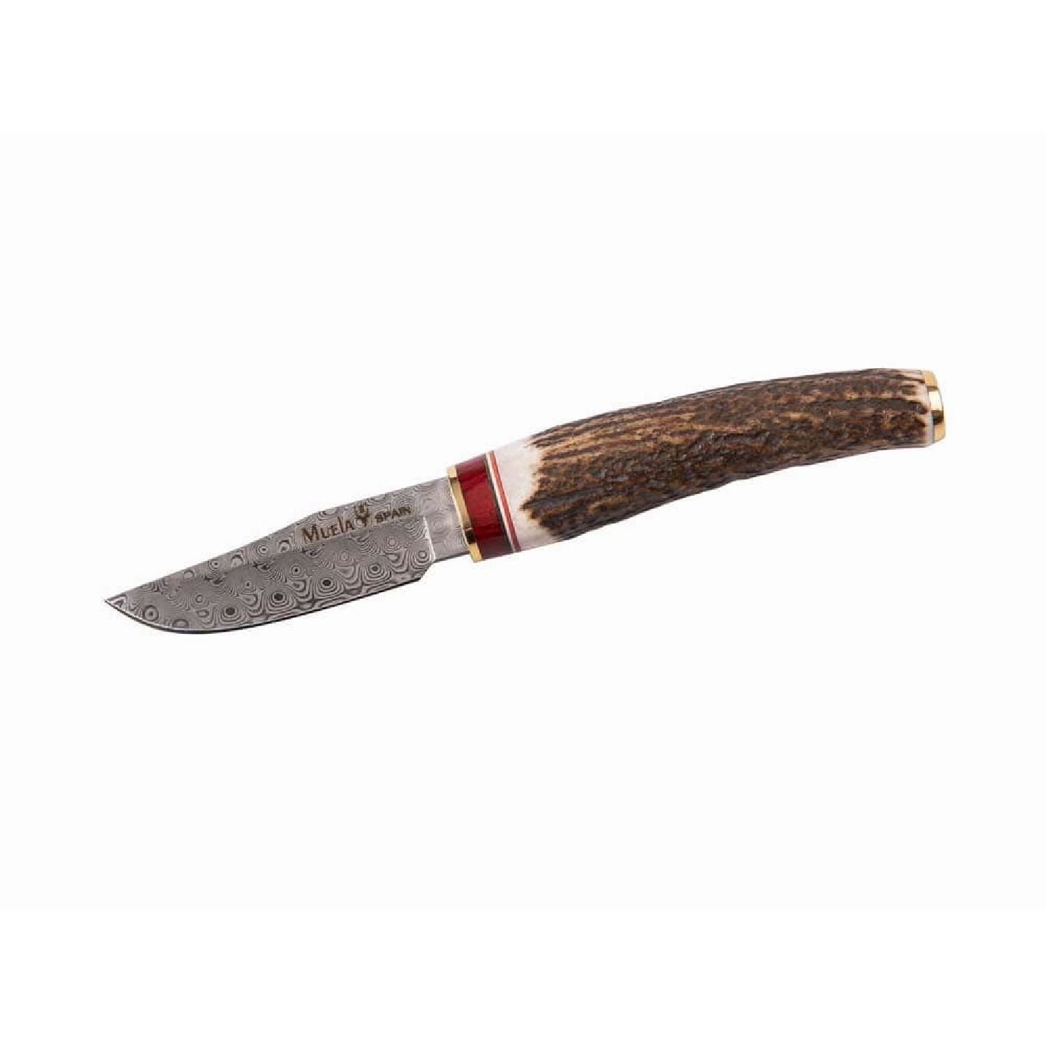 Muela Bowie 7,5cm Damascus Bıçak, Geyik Boynuzu Sap