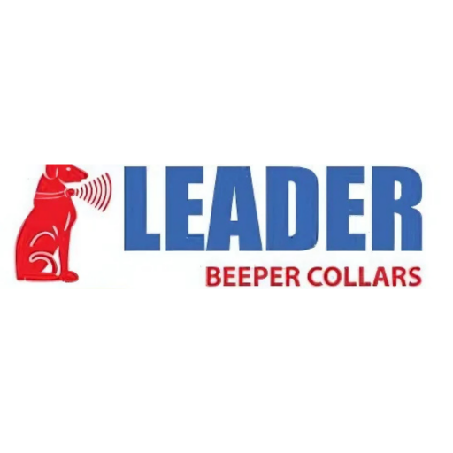 LEADER