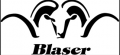 Blaser