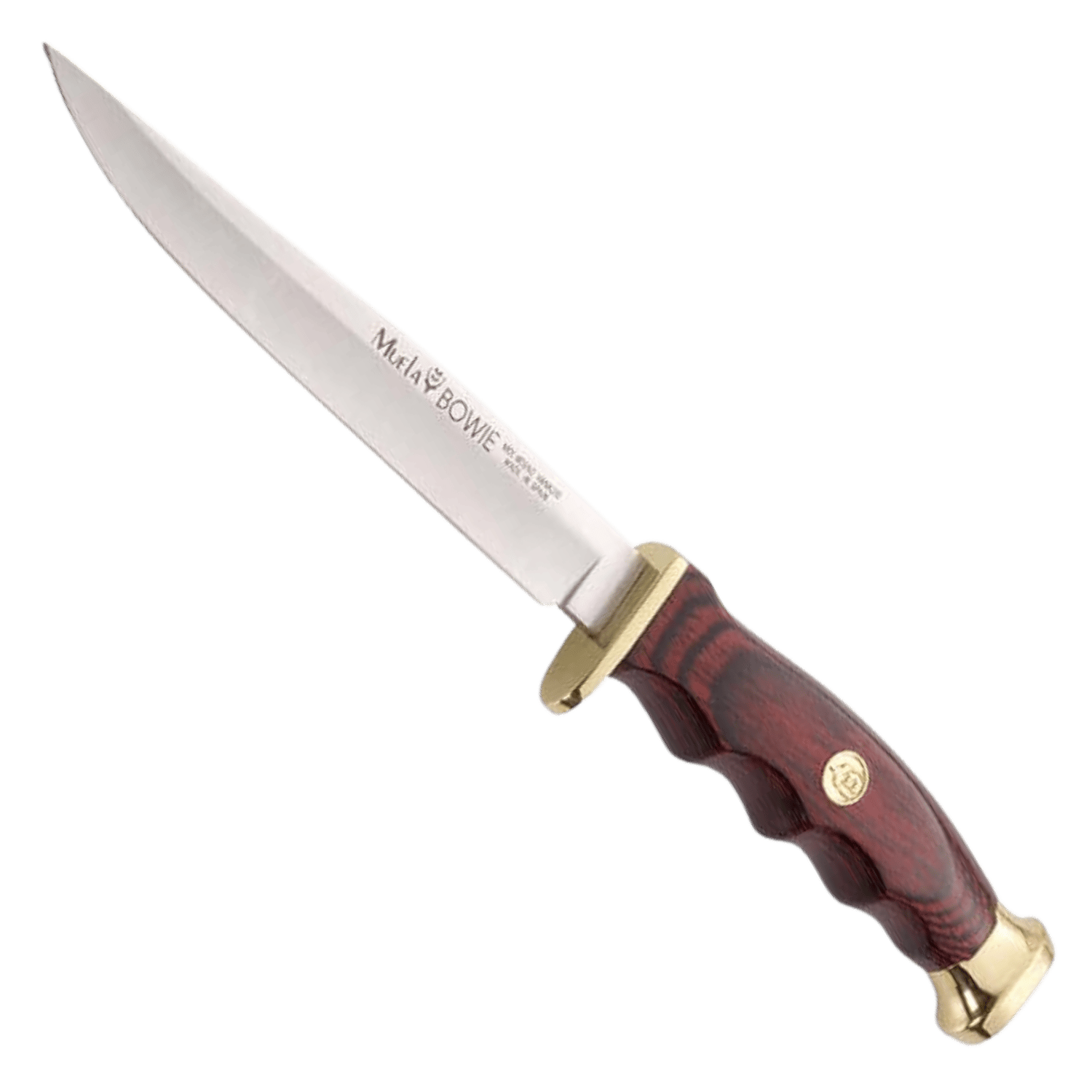 Muela BWF-14 Bowie 14cm Bıçak, Mercan Sap