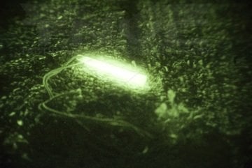 NEON GLOW 6'' INFRARED KIZILÖTESİ IŞIK ÇUBUĞU