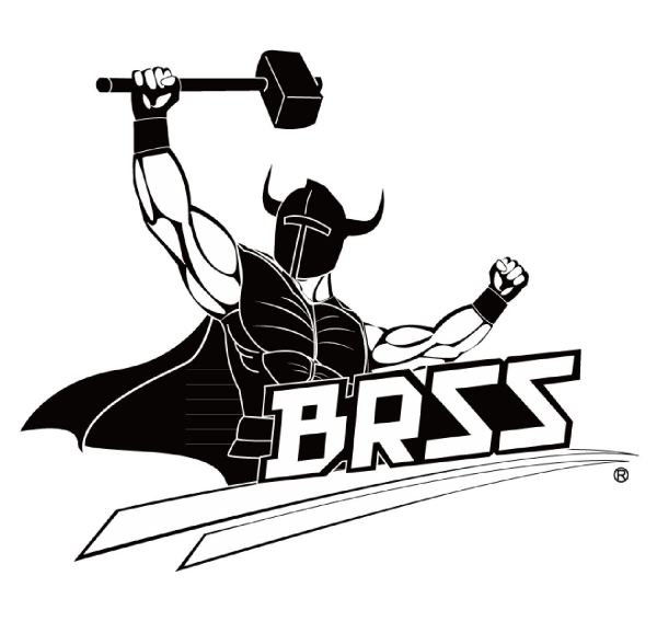 BOLT 416 DEVGRU SILENCER BRSS Gerçekçi Tepmeli Airsoft Tüfek TAN