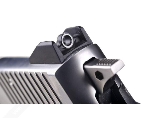 WE F226 VIRUS AIRSOFT TABANCA