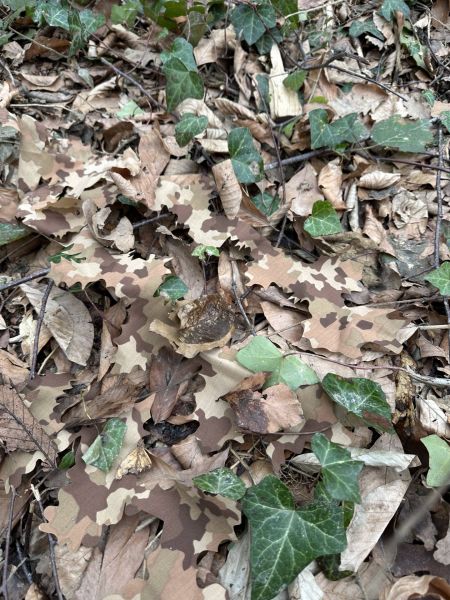 KMCS Adaptive Leaf Strips Uyarlanabilir Yaprak Şerit Kamuflajı