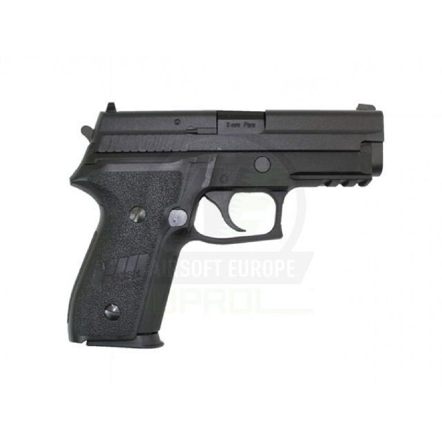 WE SIGSAUER F229 RAIL GBB AIRSOFT TABANCA