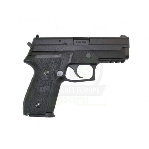 WE SIGSAUER F229 RAIL GBB AIRSOFT TABANCA