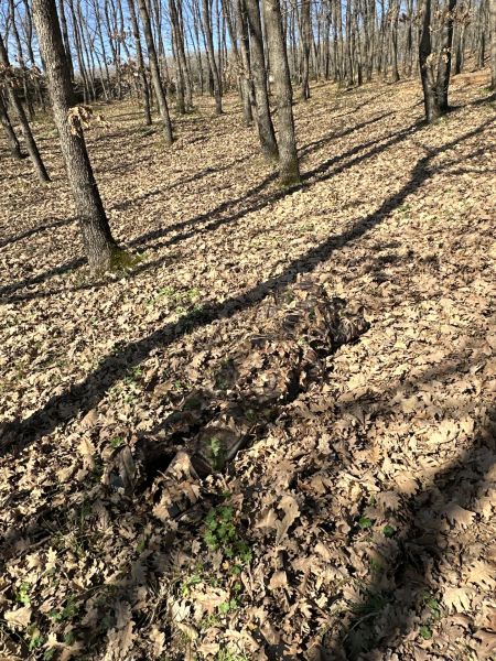 KMCS Ghillie Suit 4.1 3D Yaprak Kamuflaj Takımı Renk Seçenekli Dark Forest - 2X-Large